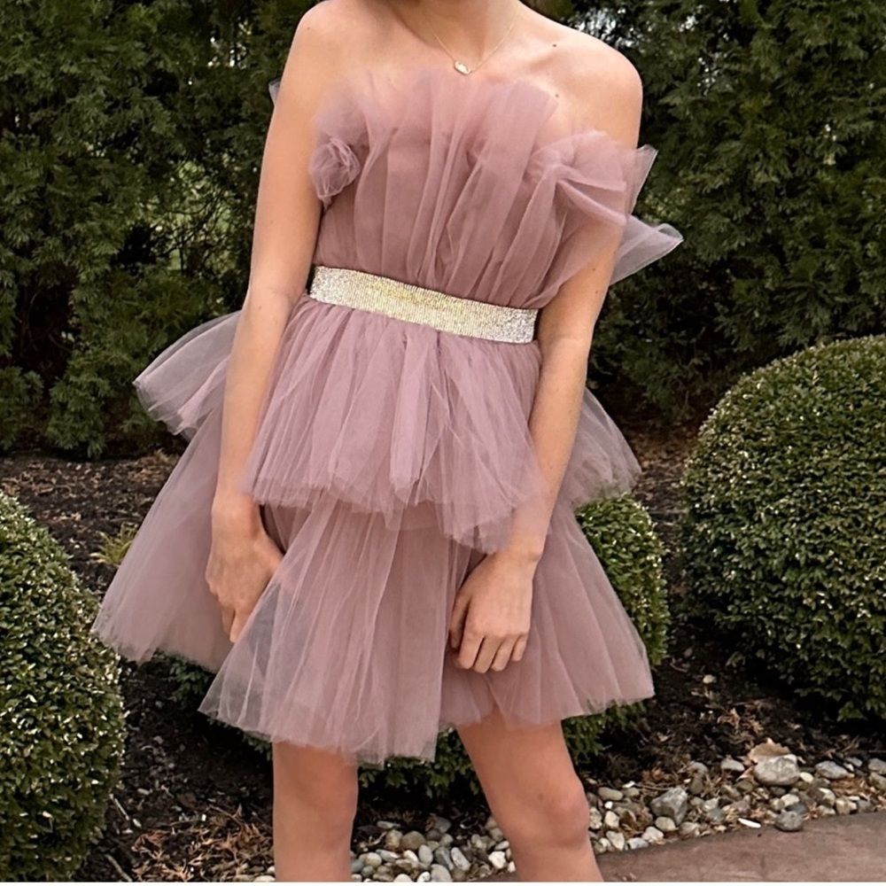 Mable Tulle Mini NWT Size XS Elegant Mauve Tulle Dress with Gold Belt